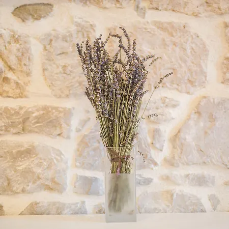 Appartement Sir George Luxury *